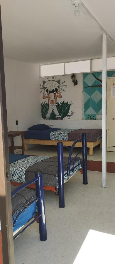 Hostal San Pueblo 오아하카주 외부 사진